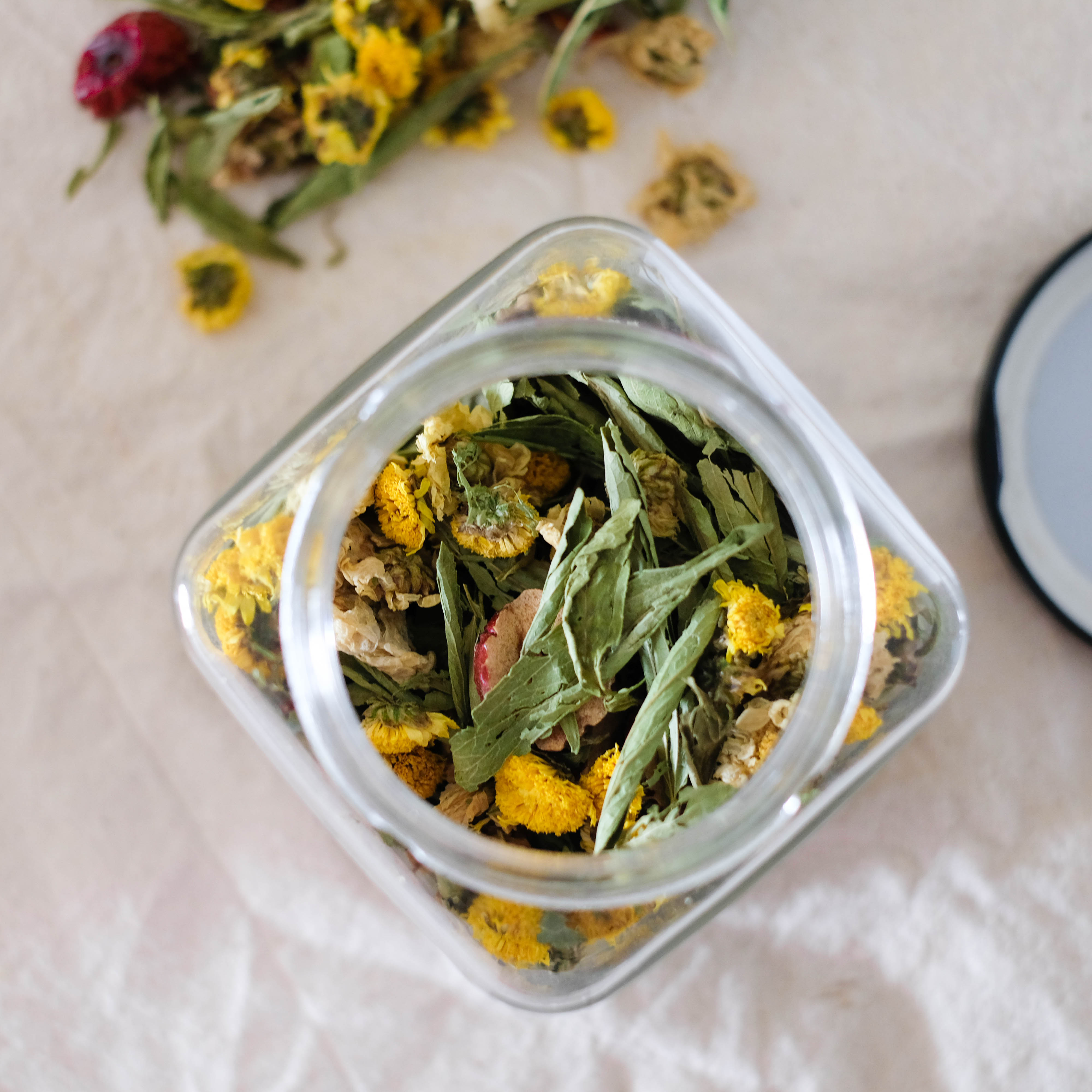 Trà hoa cúc - kỷ tử