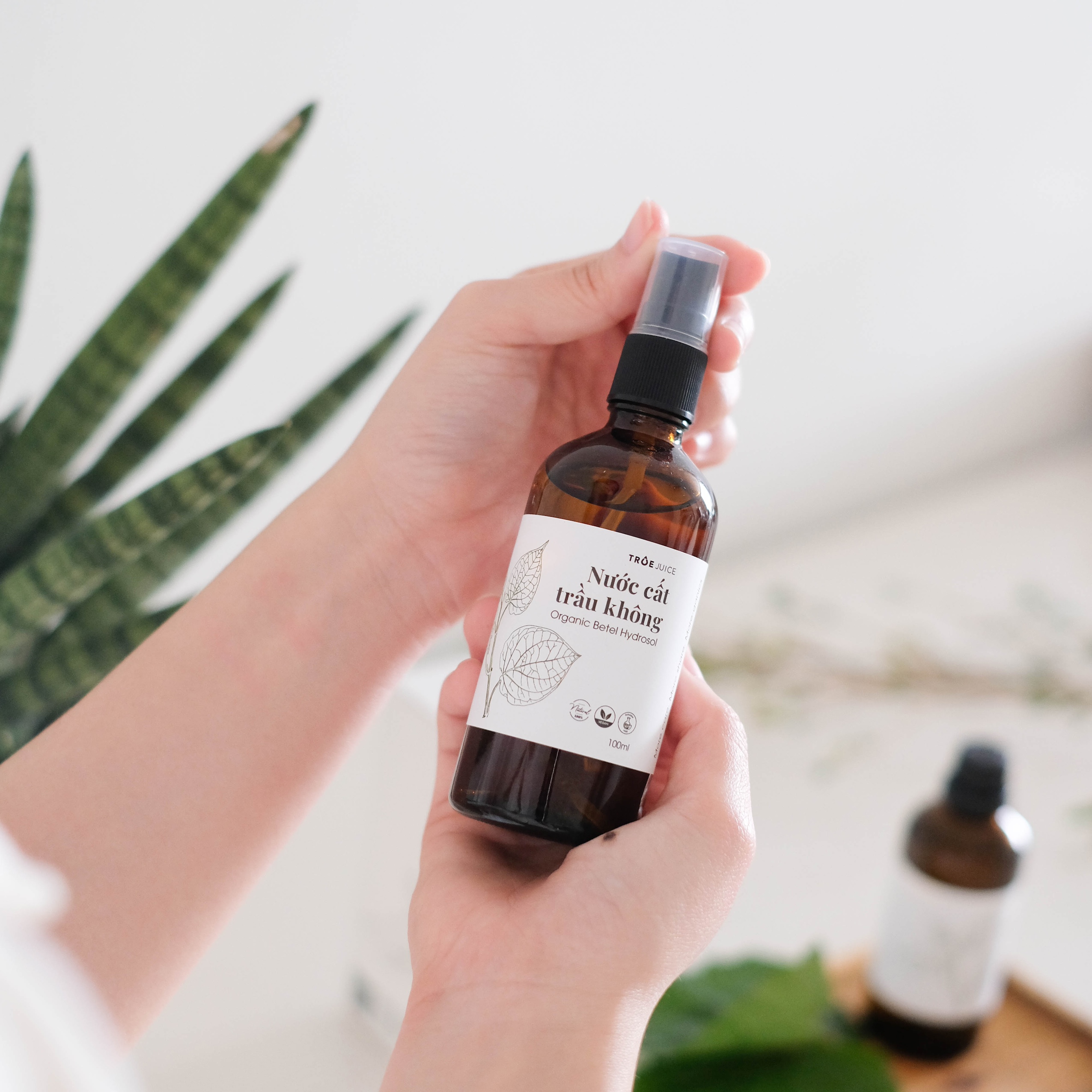Nước cất trầu không