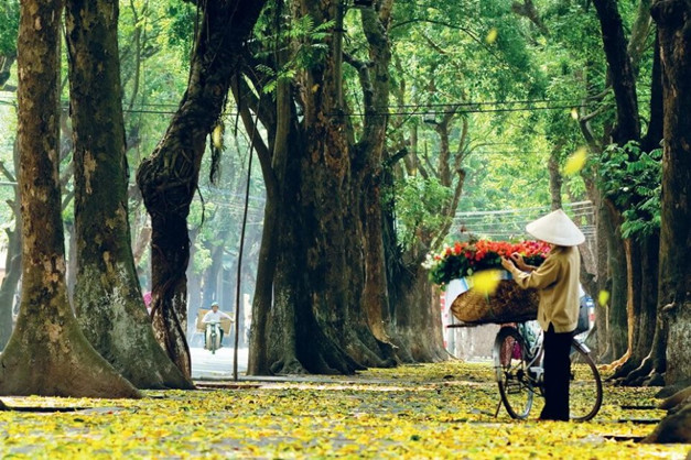 Ai đó đã nói rằng Hà Nội không dễ yêu, nhưng một khi trót yêu thì sẽ nhớ nhung mãi