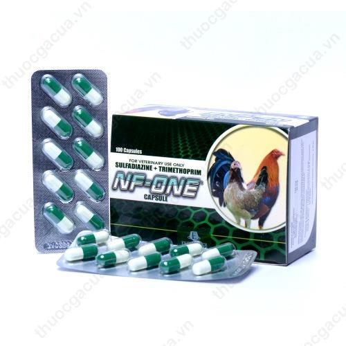 Top 3 bệnh gà phổ biến vào mùa hè - Cách nhận biết và phòng ngừa hiệu quả