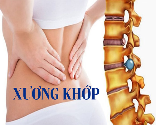 Tác dụng của Đông Trùng Hạ Thảo với xương khớp