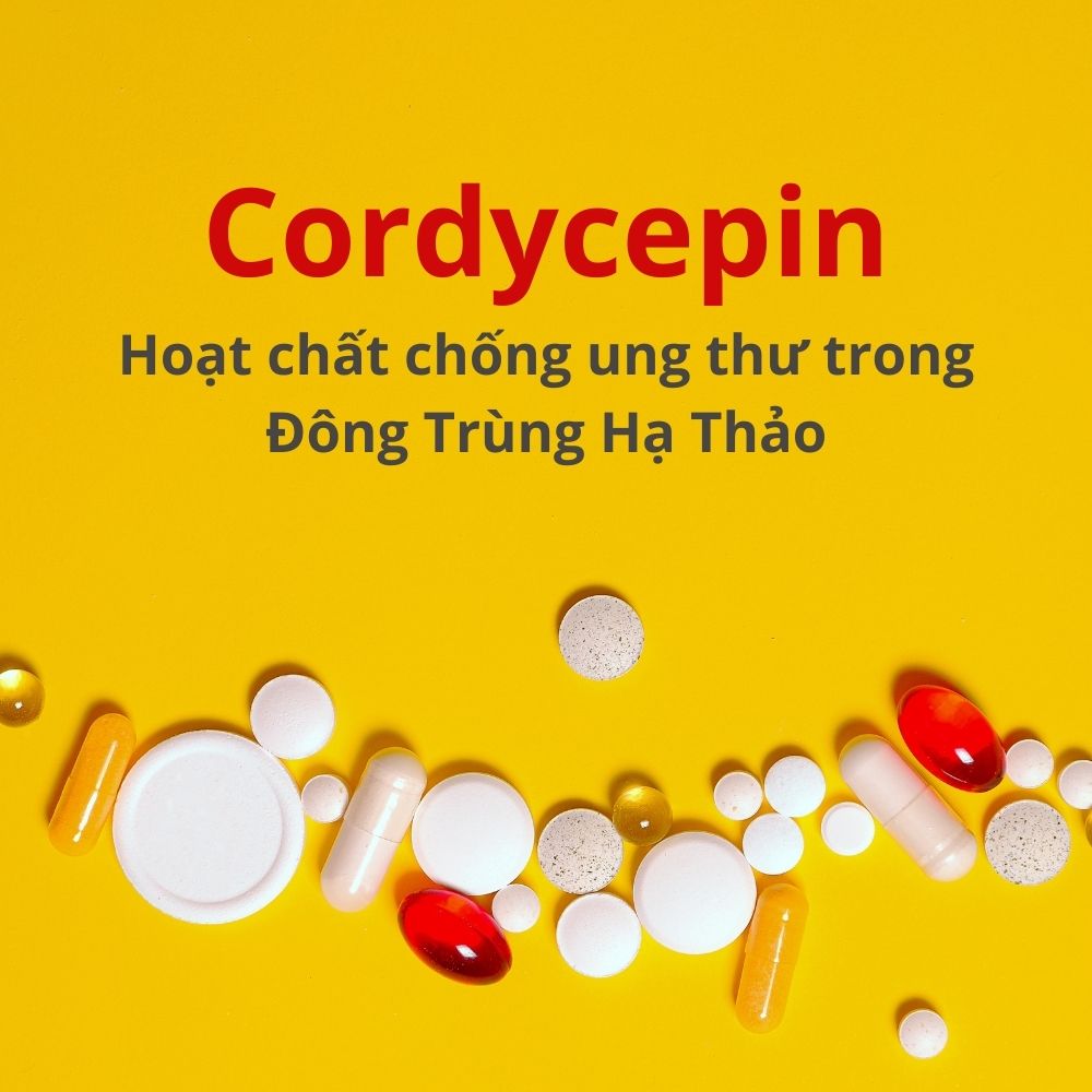 Cordycepin