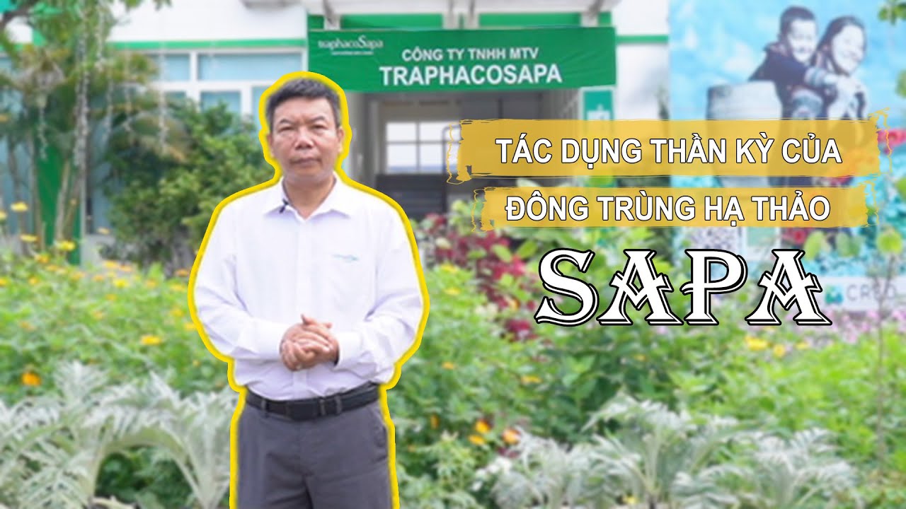 Đông Trùng Hạ Thảo Sapa