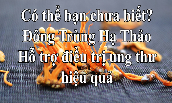 DTHT hỗ trợ điều trị ung thư 