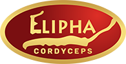 logo Đông trùng hạ thảo Elipha