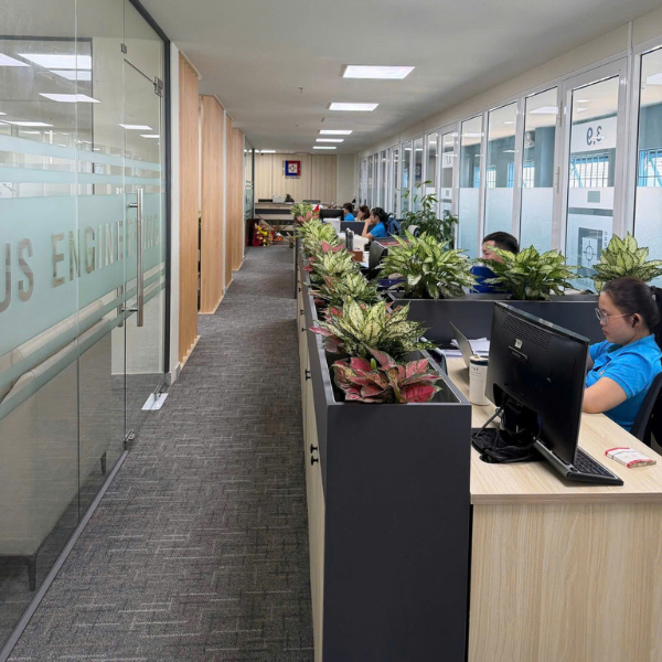 Cty Focus Engineering - 03/2026