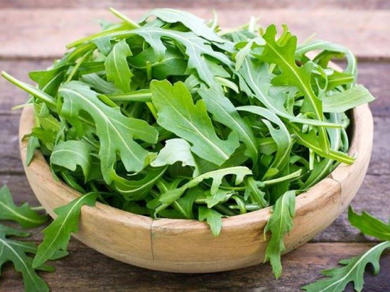 Rau salad rocket loại rau chứa nhiều chất bổ dưỡng cho cơ thể 