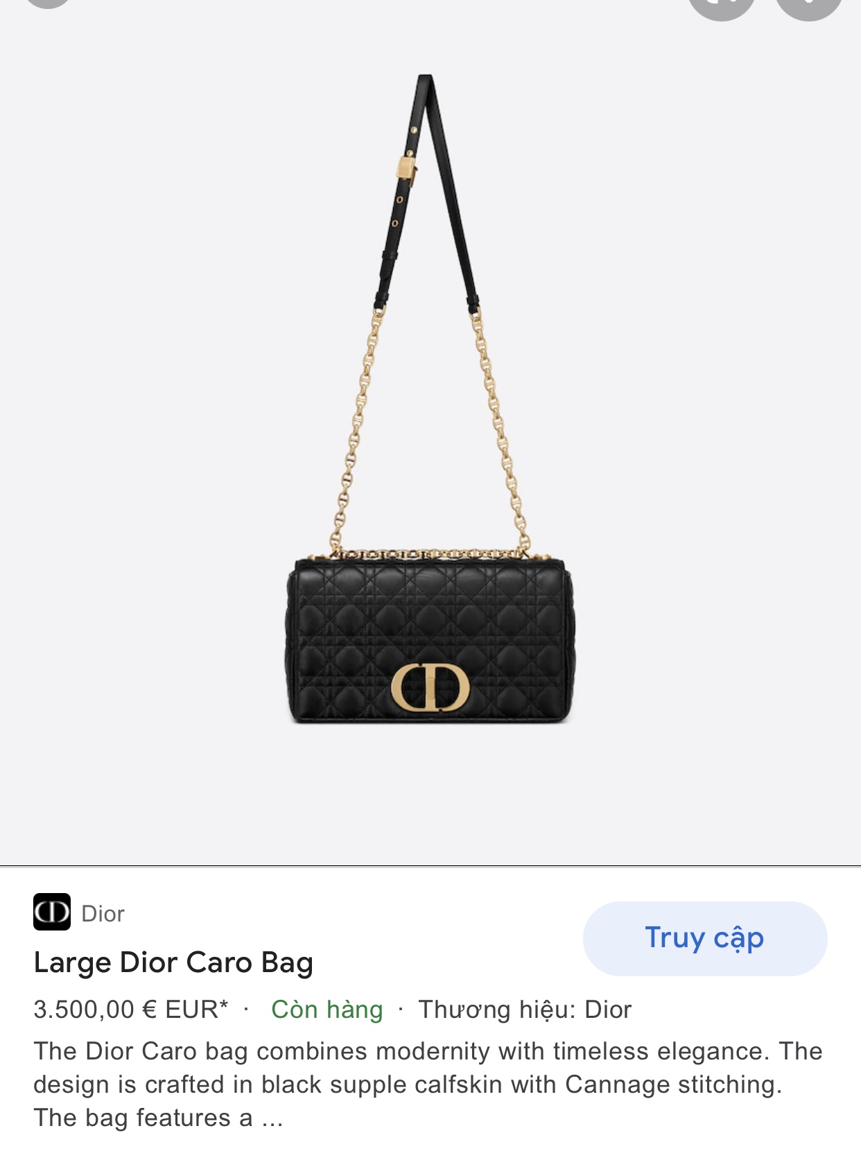 Christian Dior Caro Bag Cannage Quilt Calfskin Small at 1stDibs #70 Christian Dior Caro Bag Cannage Quilt Calfskin Small at 1stDibs