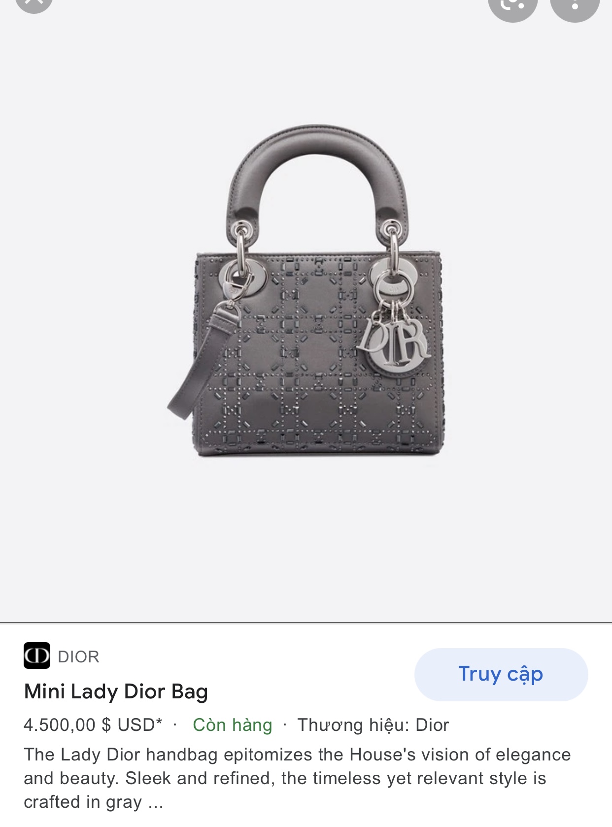 MINI LADY DIOR BAG Gray Strass Cannage Satin