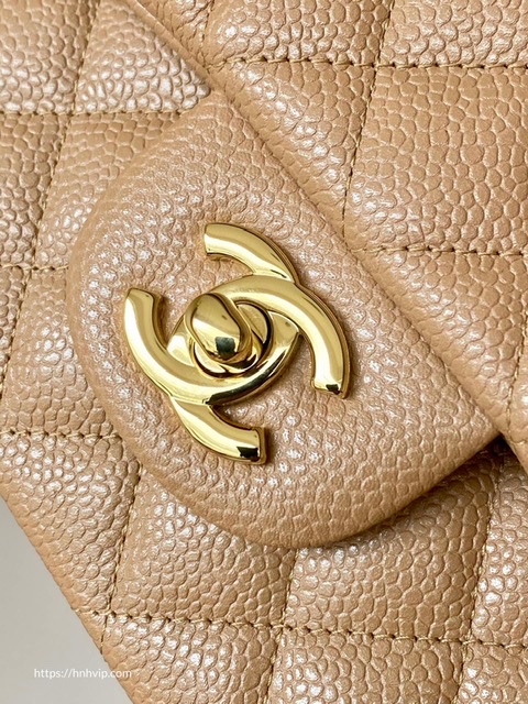 Chanel Classic Flap Bag 25cm