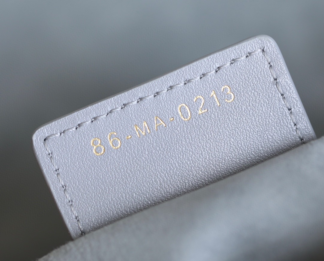 Dior 30 MONTAIGNE AVENUE BAG Ethereal Gray Box Calfskin M9260UMOA
