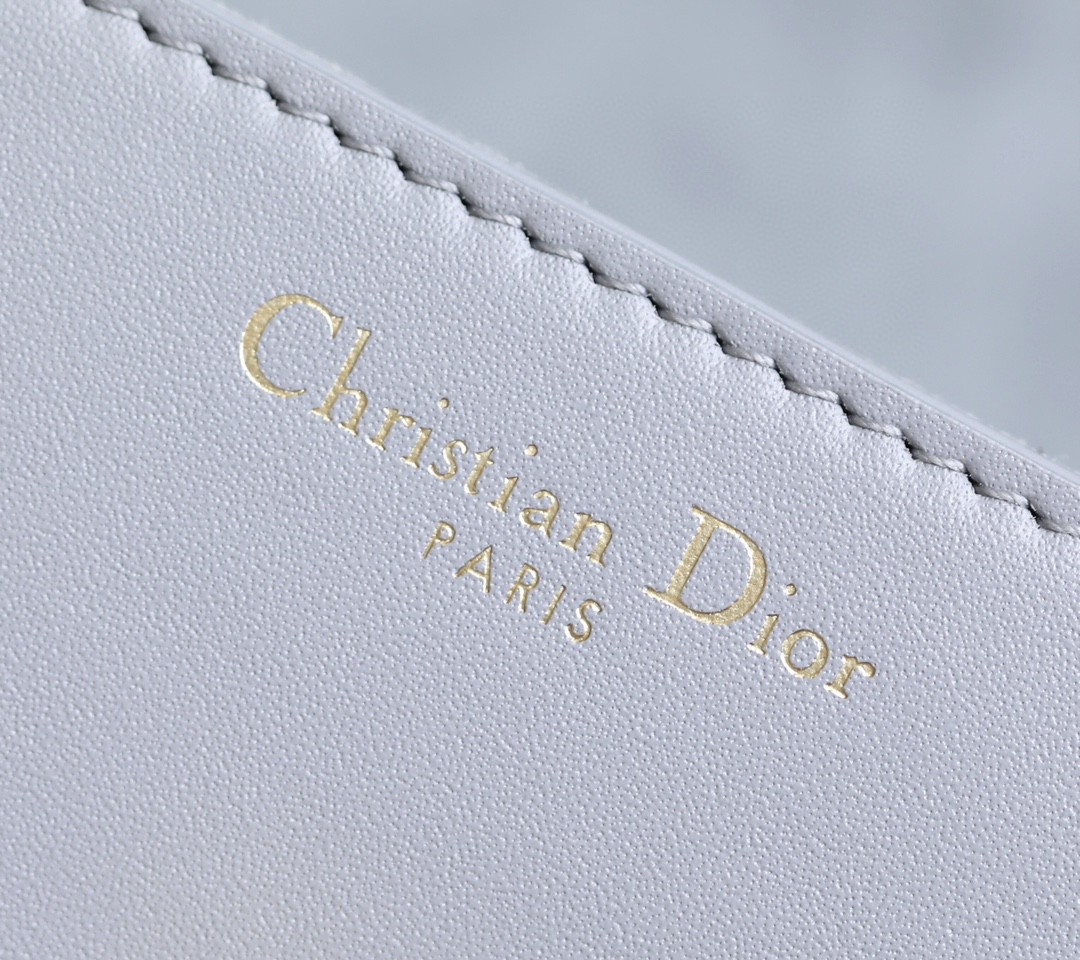 Dior 30 MONTAIGNE AVENUE BAG Ethereal Gray Box Calfskin M9260UMOA