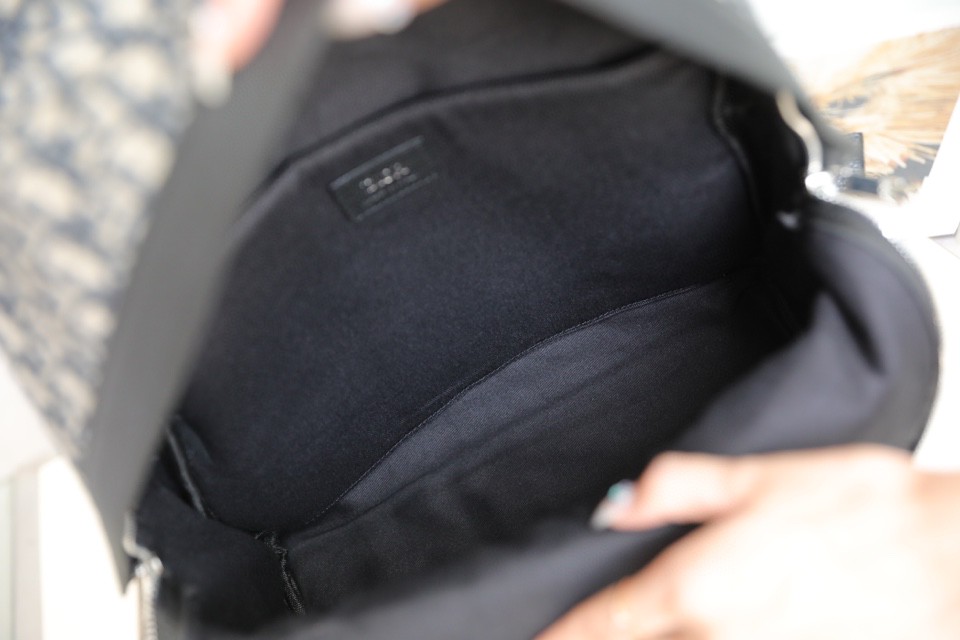 Dior Oblique backpack