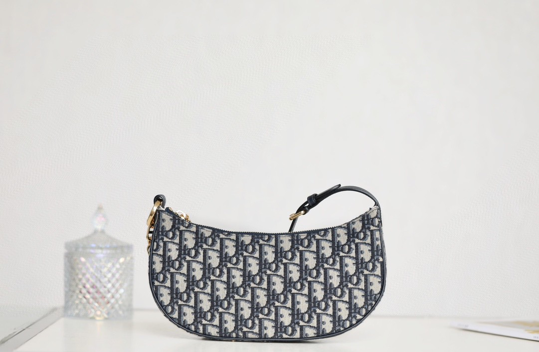 DIOR CD LOUNGE Oblique M22626TZR