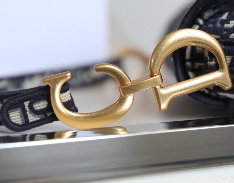 DIOR Sadle Oblique Logo MO446CRIW