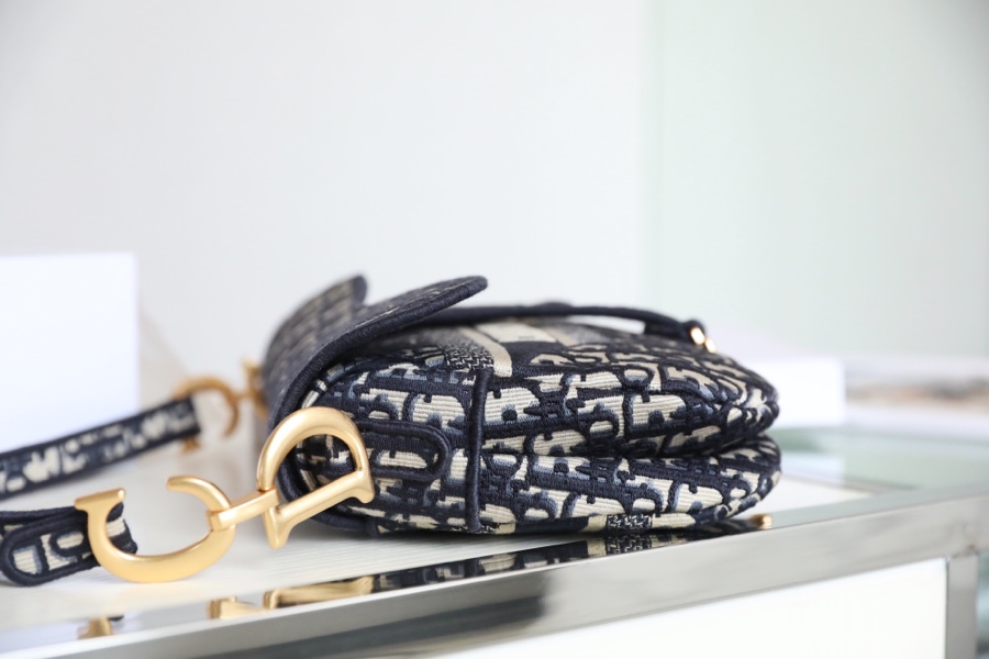 DIOR Sadle Oblique Logo MO446CRIW