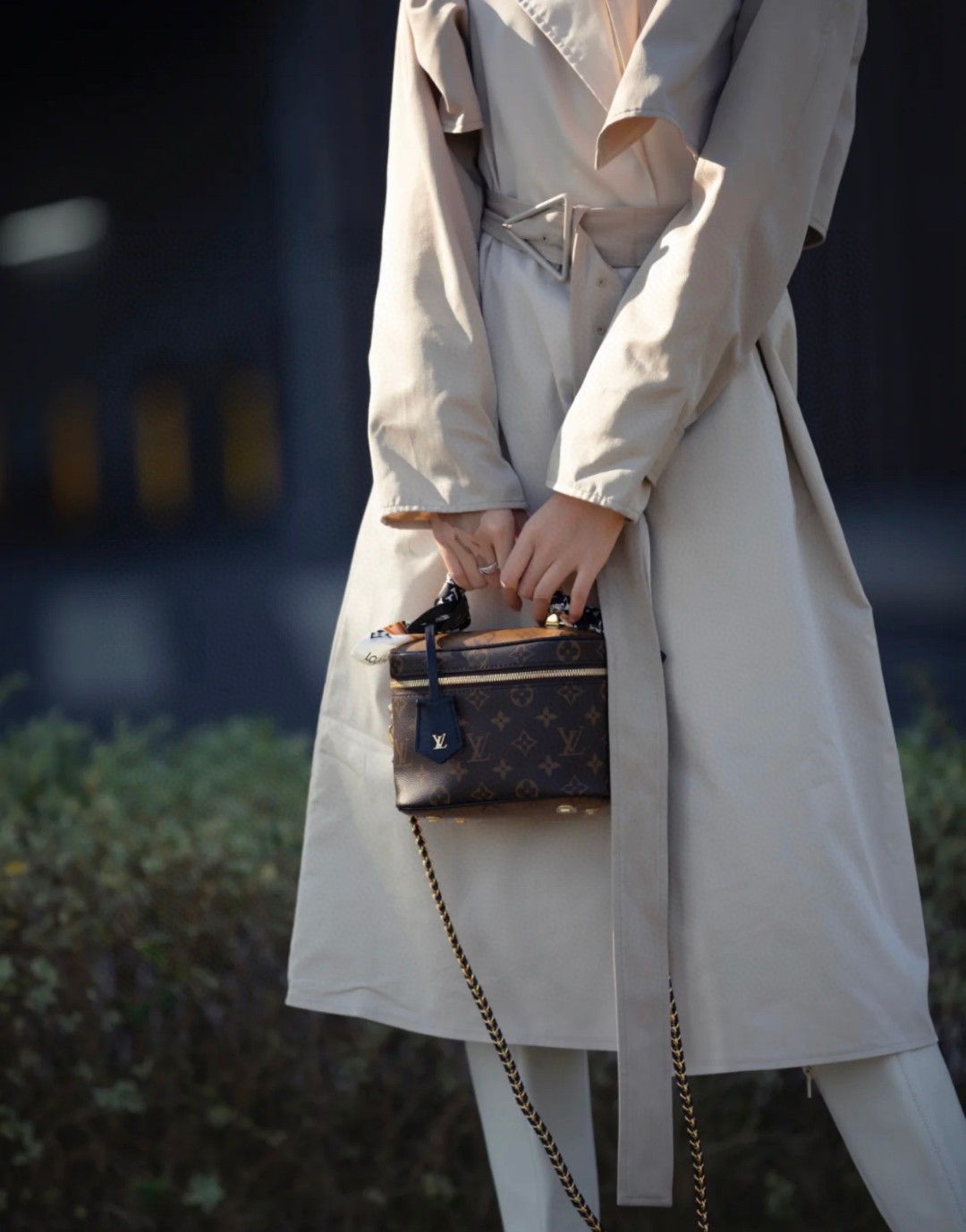 Louis Vuitton M45165 VANITY pm bag