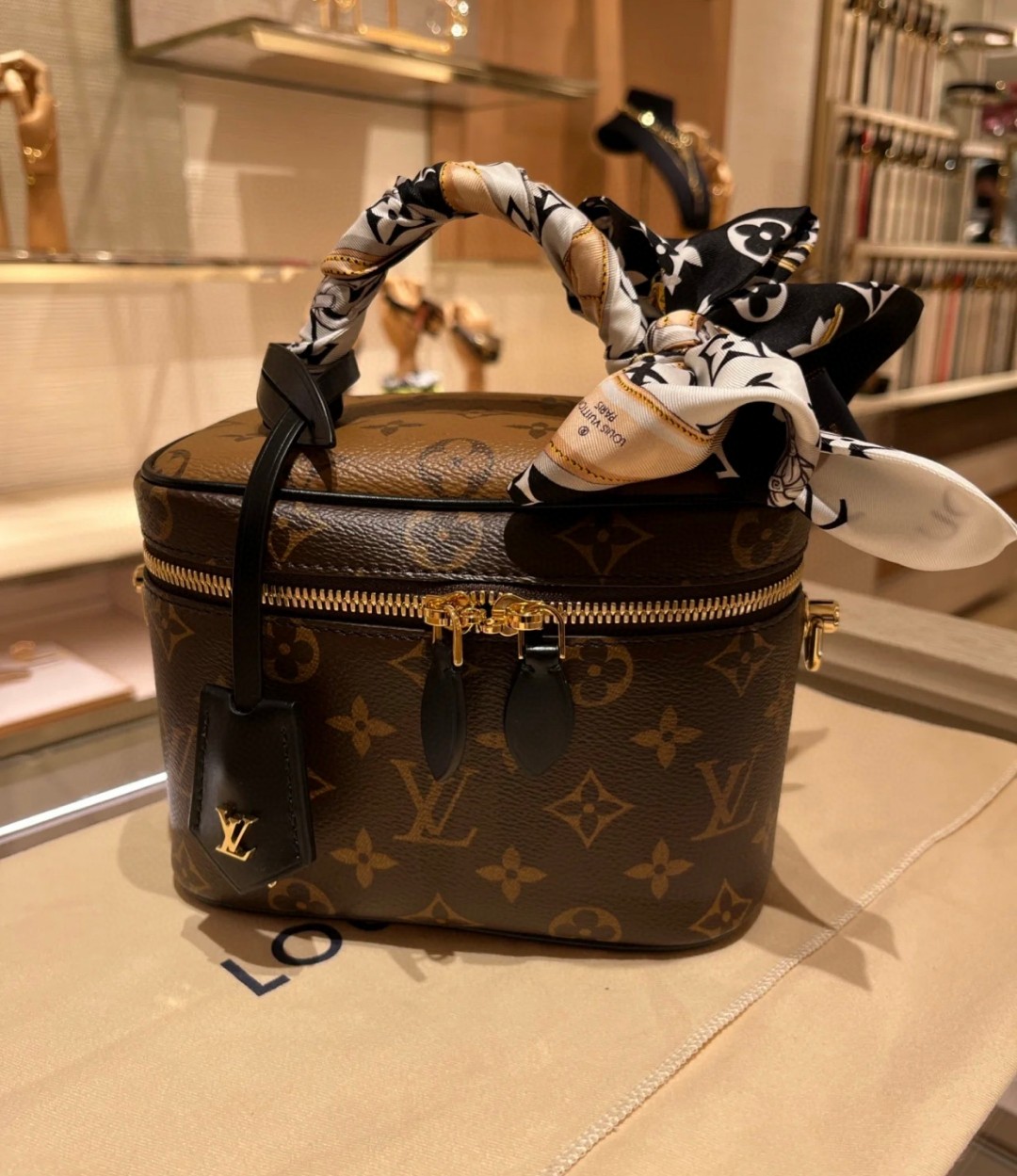 Louis Vuitton M45165 VANITY pm bag