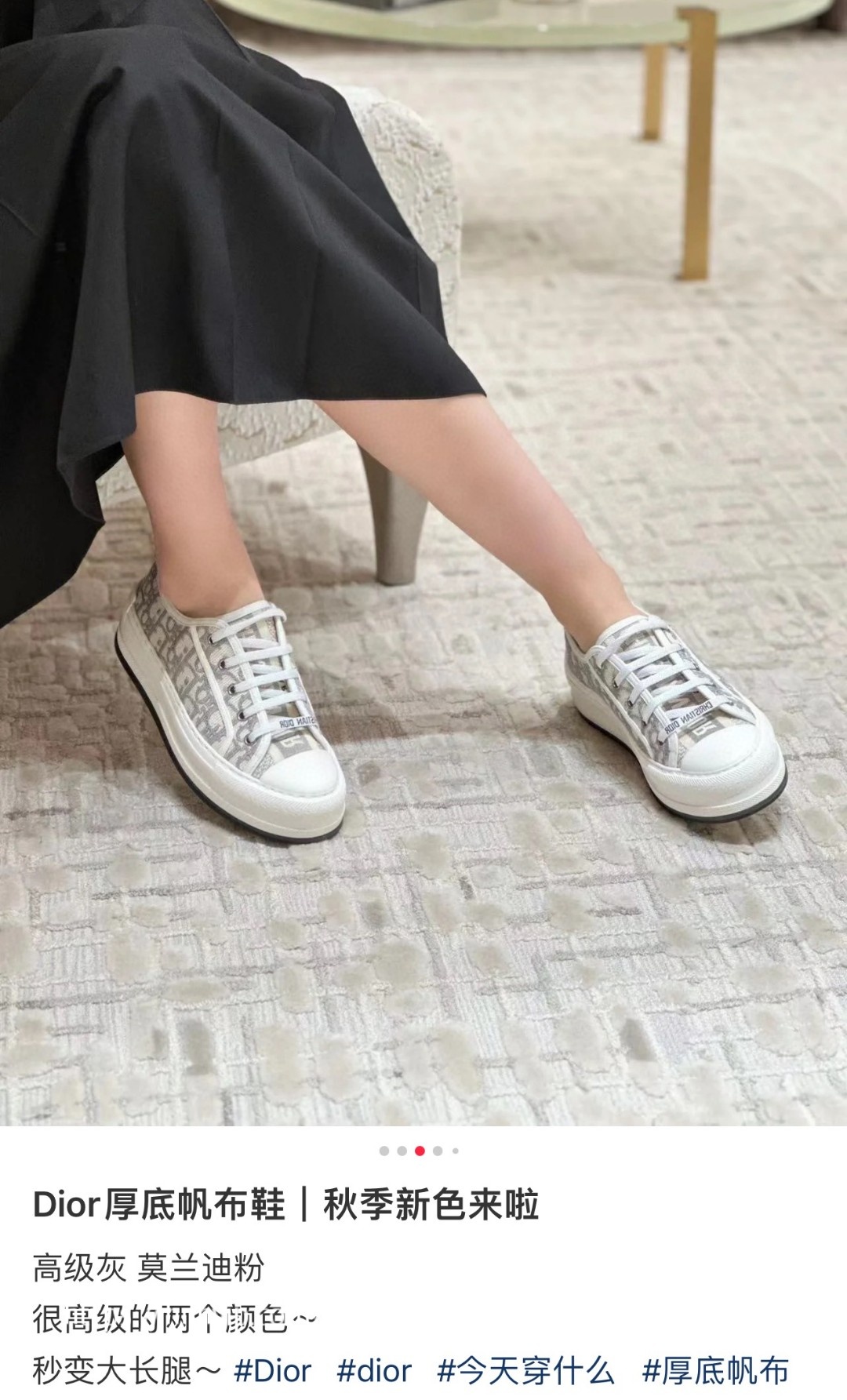 Dior WALK'N'DIOR PLATFORM SNEAKER Stone Gray Dior Oblique Embroidered Cotton