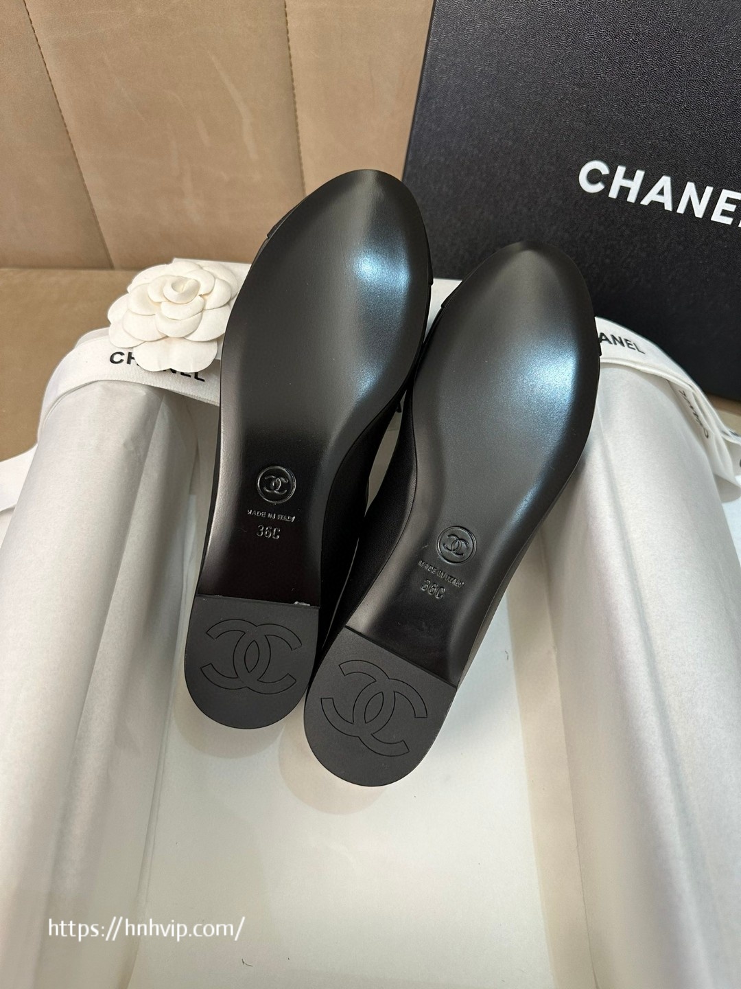 Chanel G45466 pumps and Mules