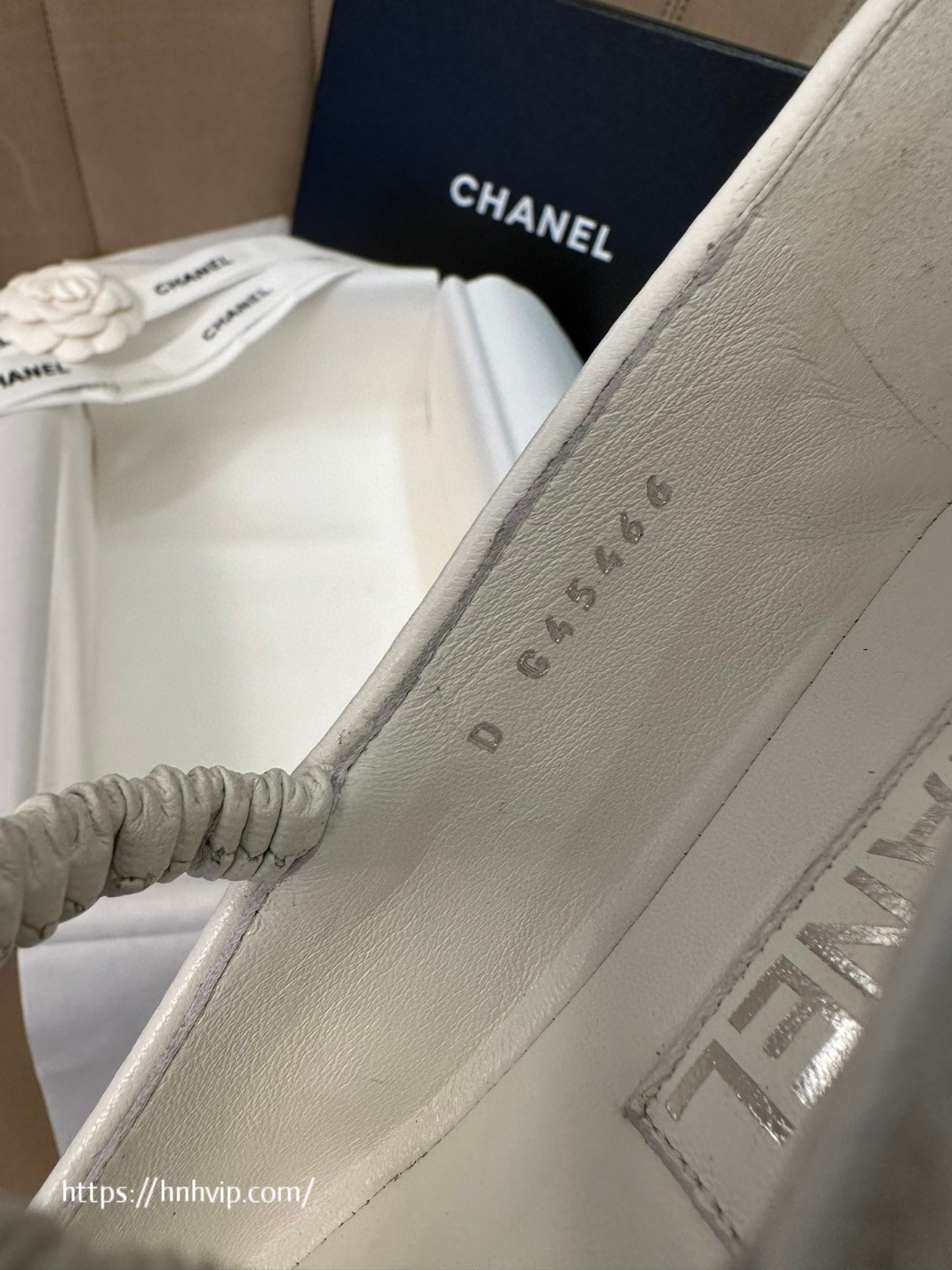 Chanel G45466 pumps and Mules