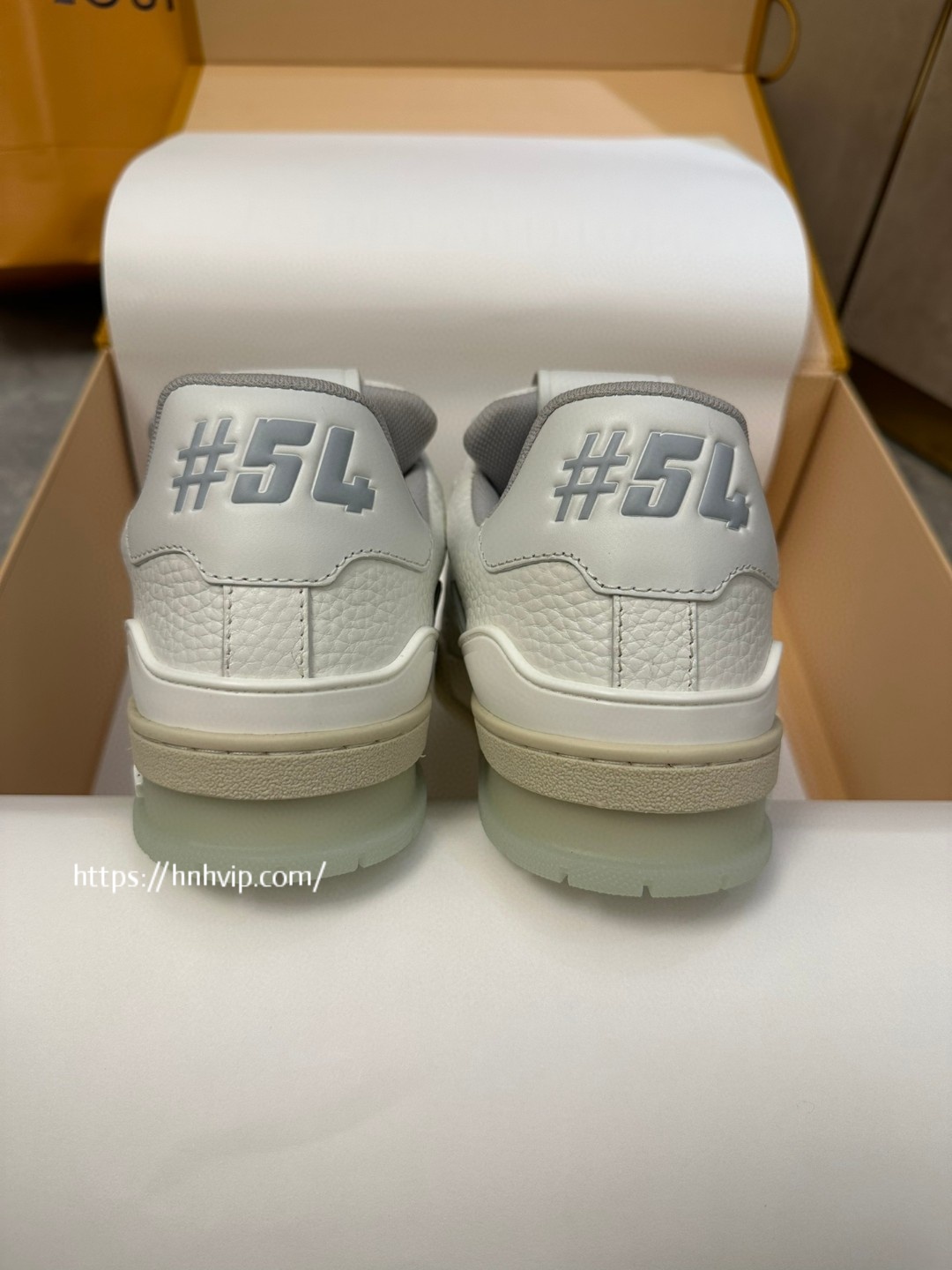 Louis Vuitton 1ACP1S LV Trainer Sneaker