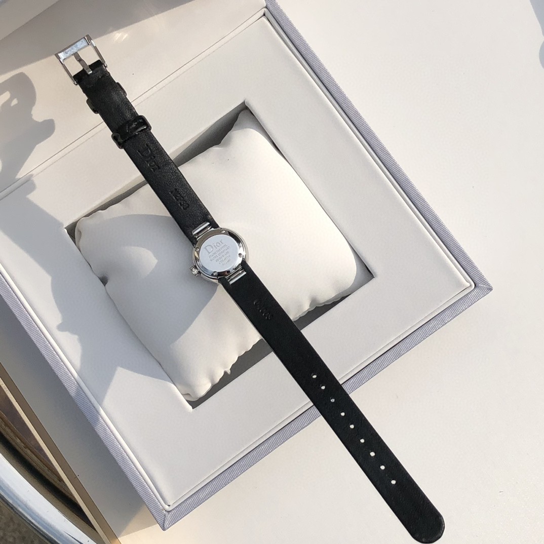 Christian Dior Mini D de Dior Satine 19