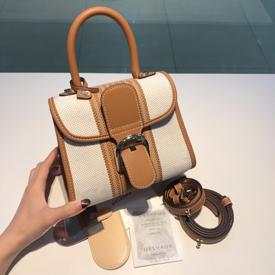 Delvaux White Toile Sangle Brillant Mini