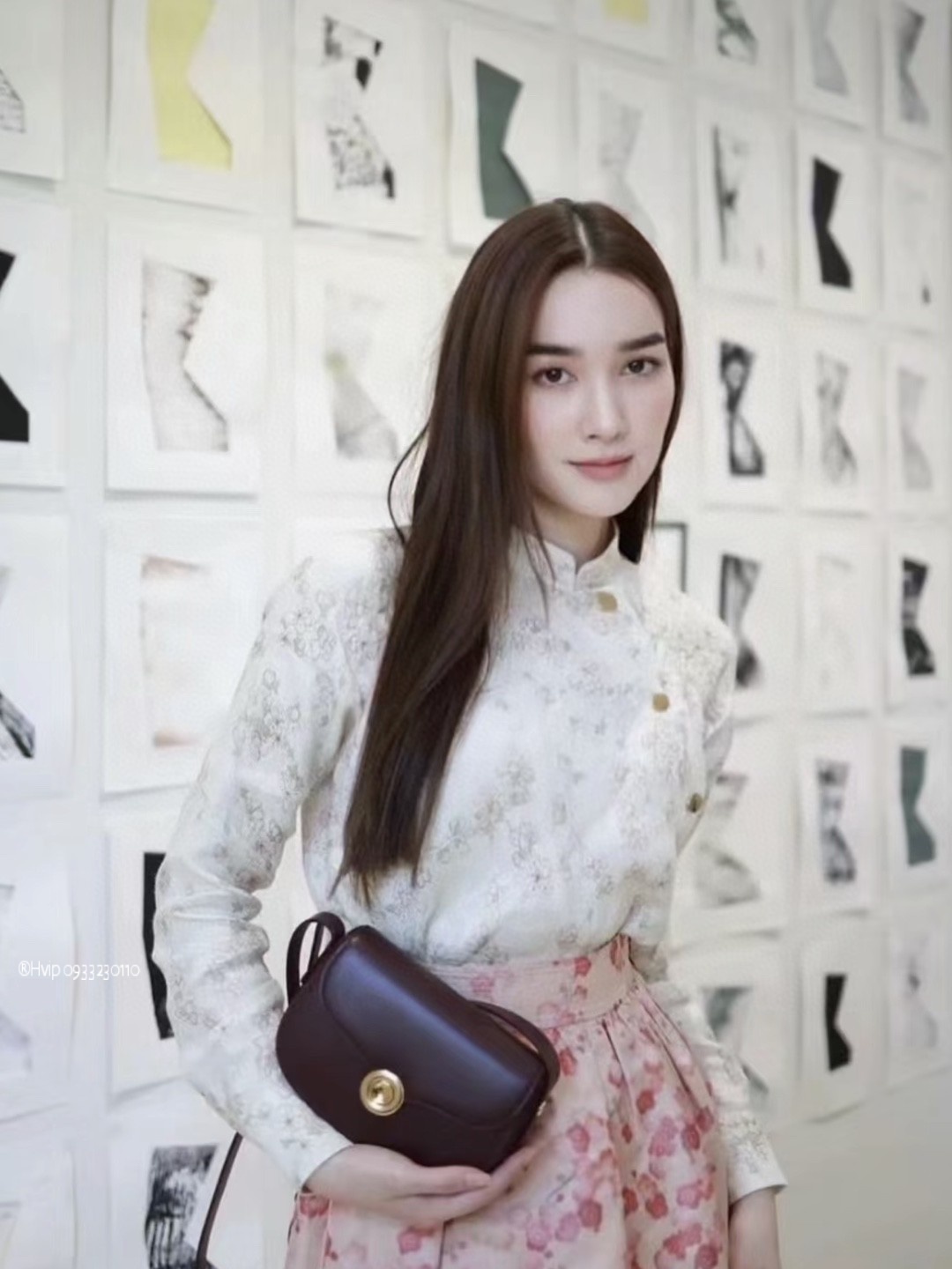 Delvaux small Ghiera bag Smooth Calfskin FAO1146 Dark Choco Licorice/matcha Powder (B3QU