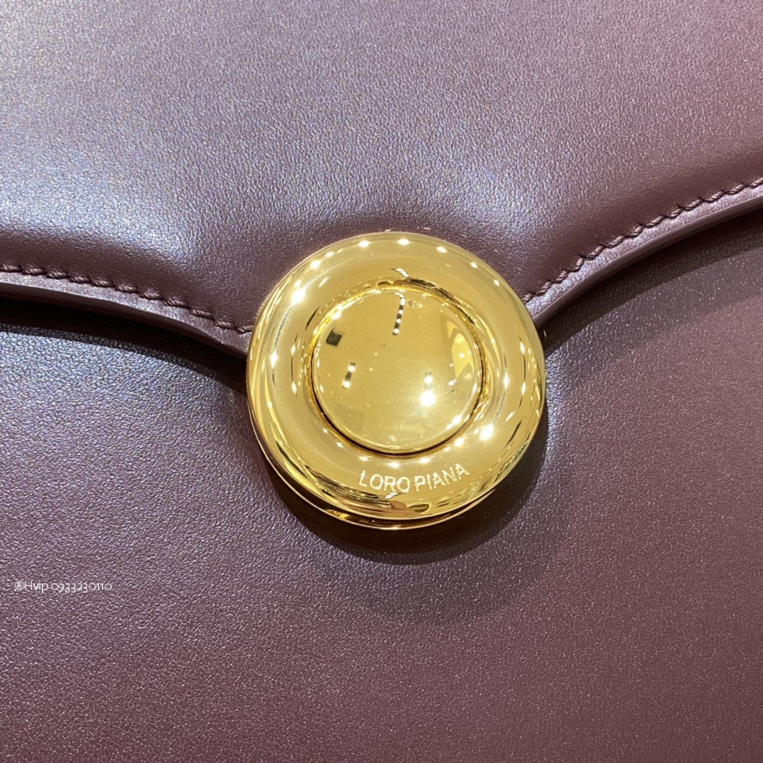 Delvaux small Ghiera bag Smooth Calfskin FAO1146 Dark Choco Licorice/matcha Powder (B3QU