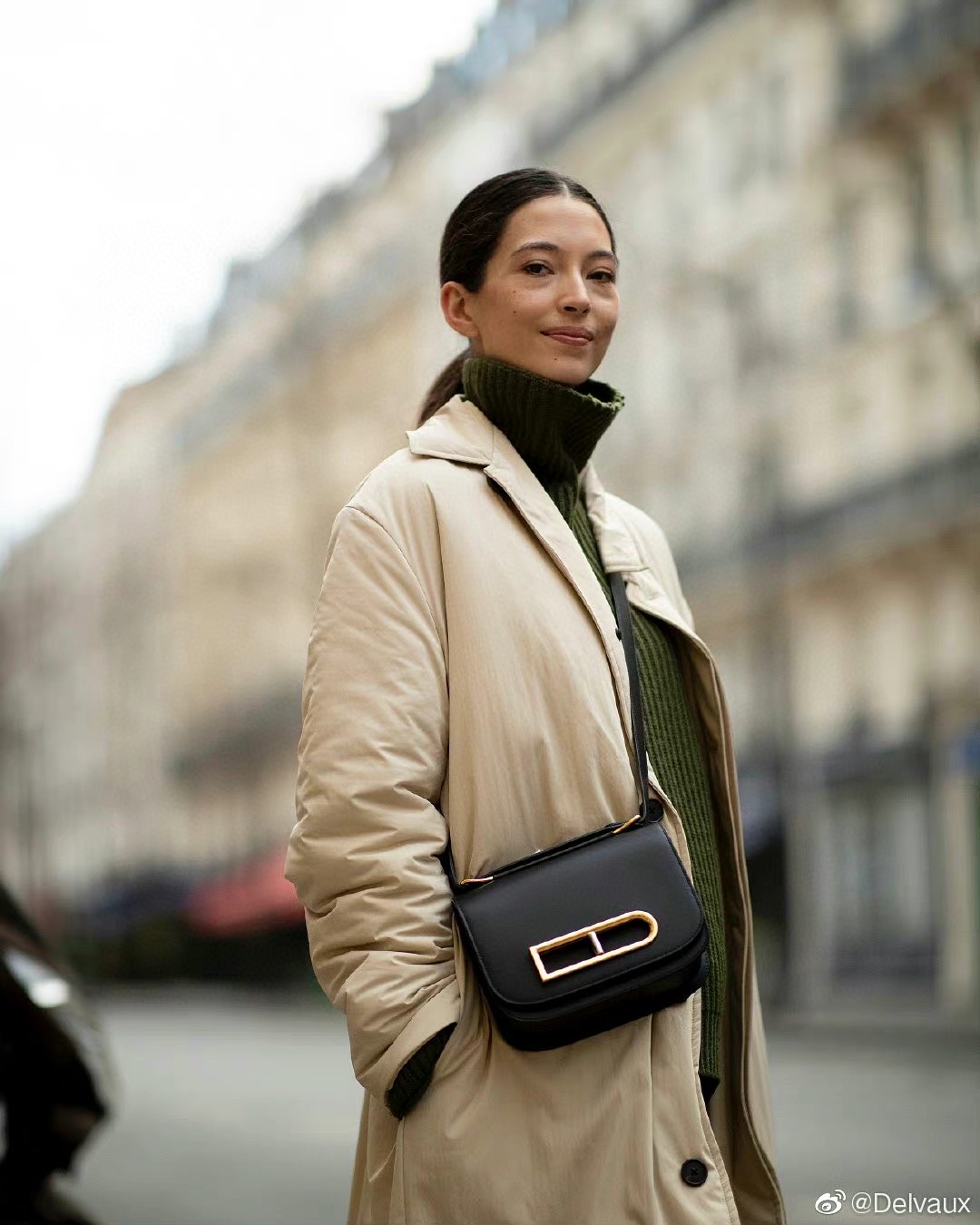 Delvaux Lingotin Olen Calf AA0574BJF099ZDG black