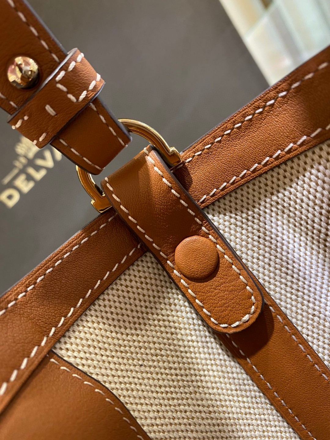 Delvaux Pin Daily in Canvas (Natural - Tan)