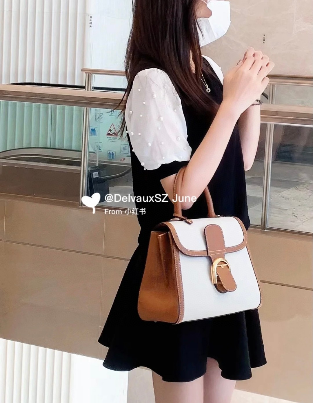 Delvaux Brillant Toile Sangle PM 2022