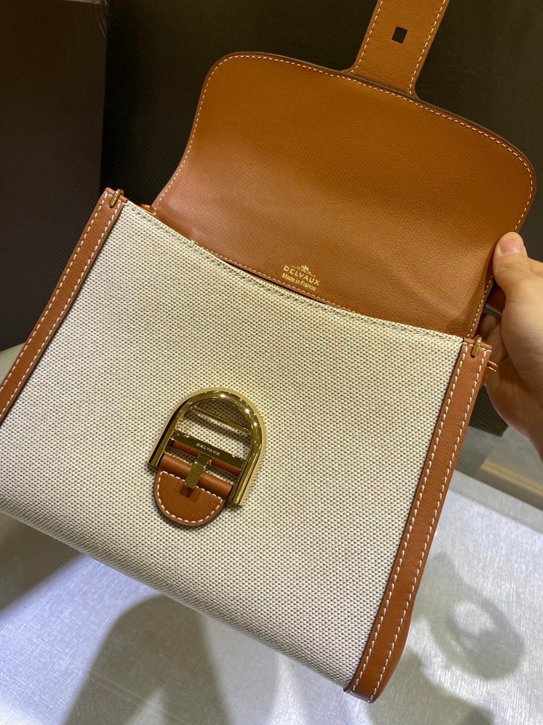 Delvaux Brillant Toile Sangle PM 2022