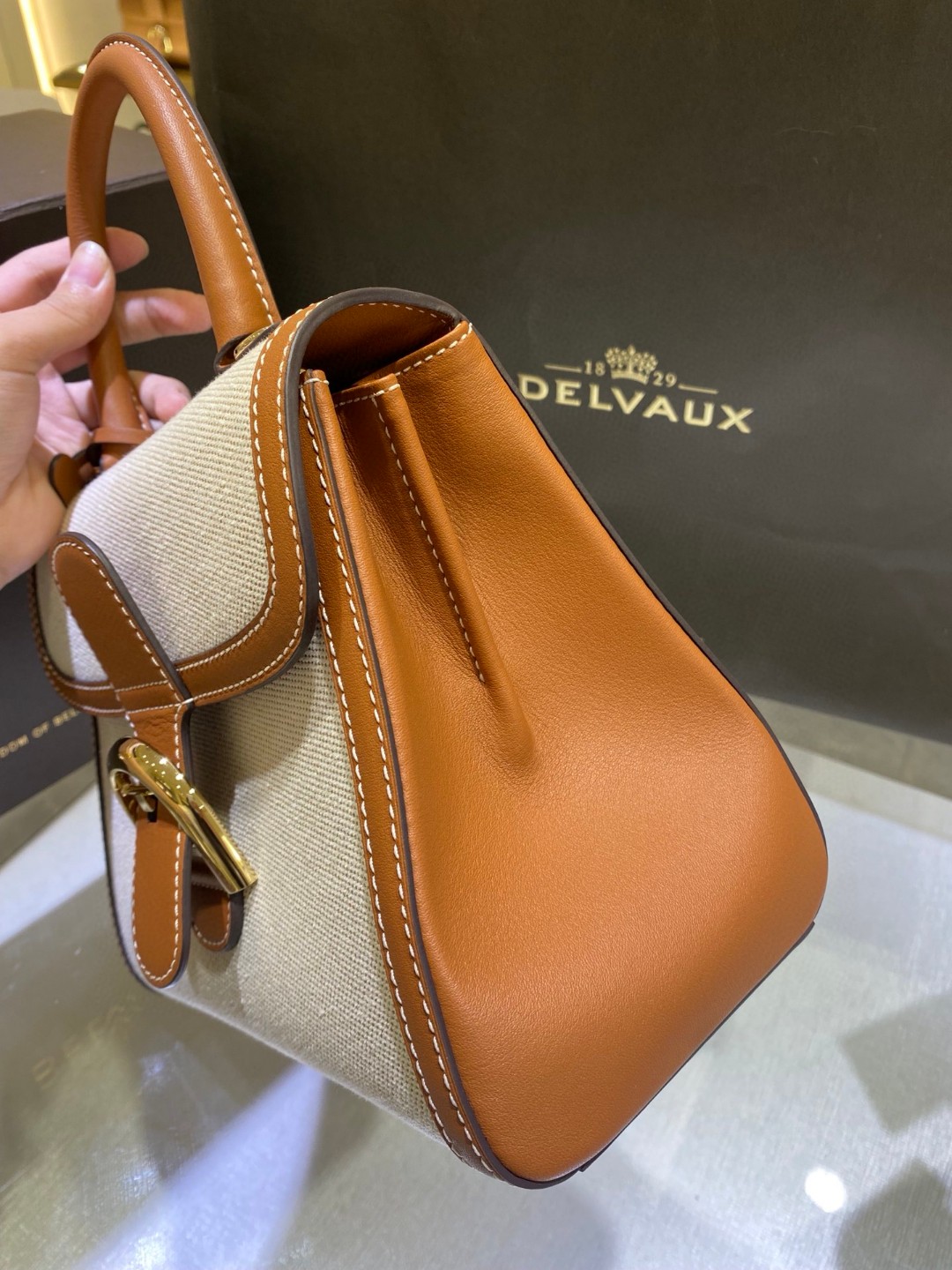 Delvaux Brillant Toile Sangle PM 2022