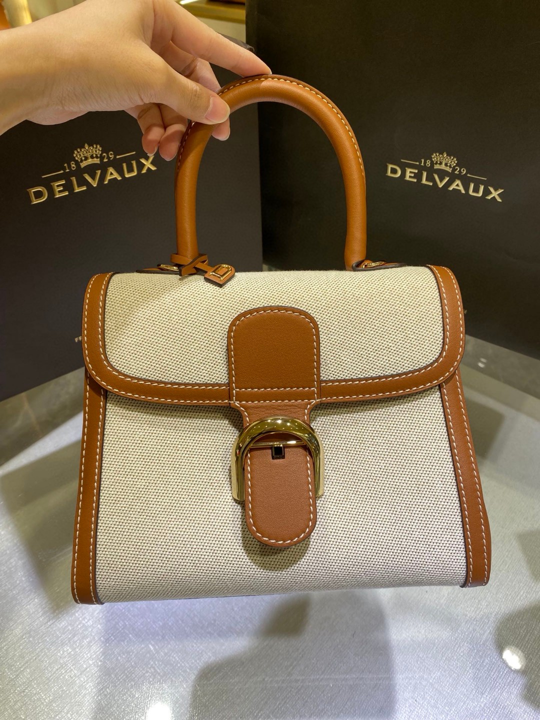 Delvaux Brillant Toile Sangle PM 2022