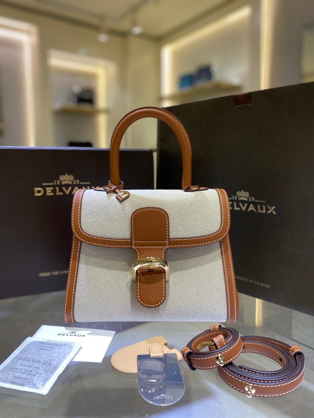Delvaux Brillant Toile Sangle PM 2022