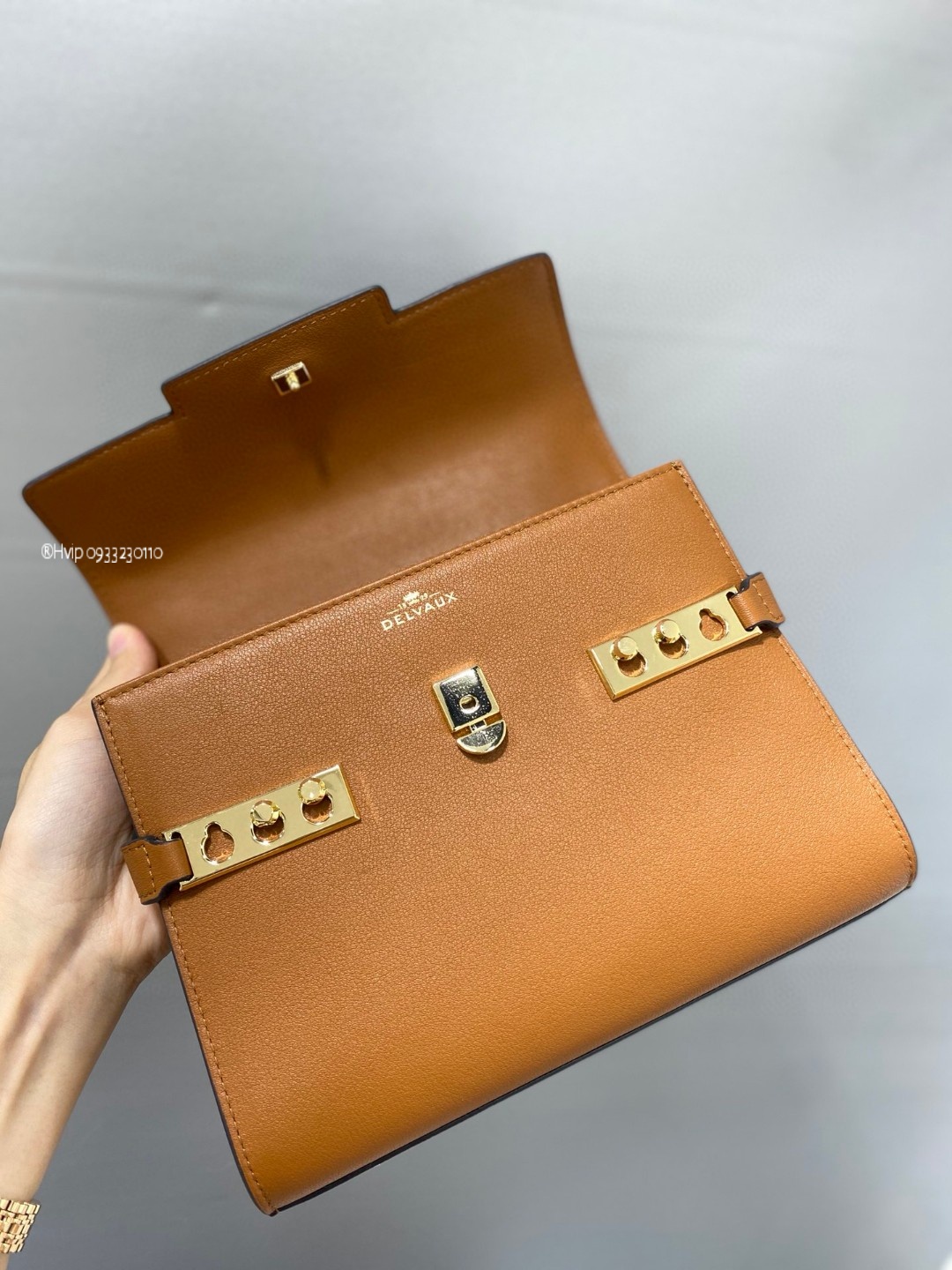 Delvaux Tempête Small in Silky Calf AA0613BQS