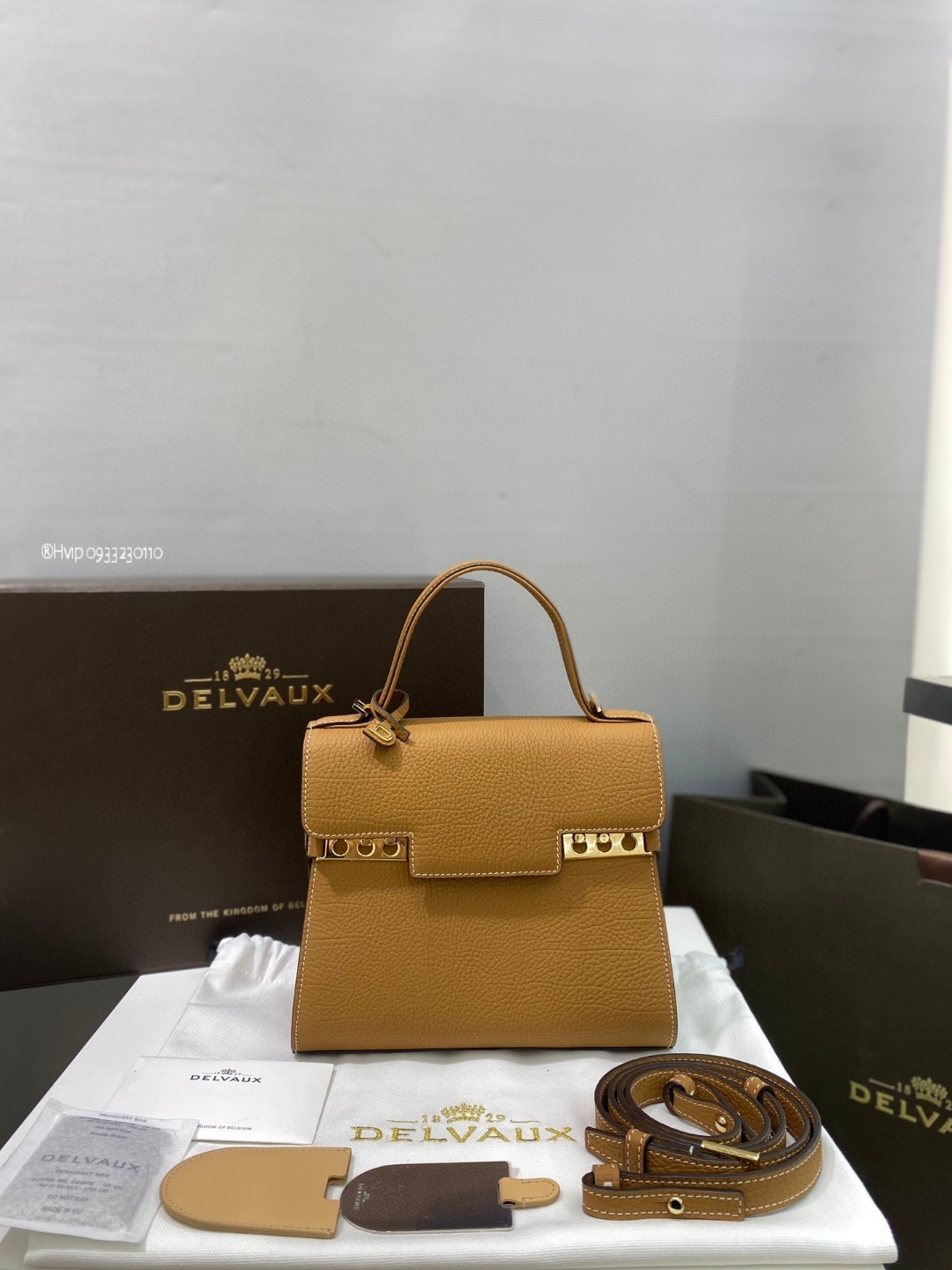 Delvaux Tempête PM in Crispy Calf leather AA0612AMF0ADNDO Vegetal - Ivory