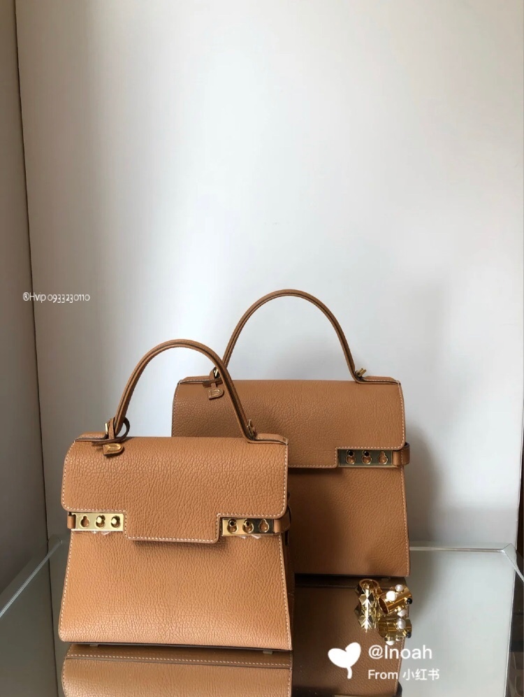 Delvaux Tempête PM in Crispy Calf leather AA0612AMF0ADNDO Vegetal - Ivory