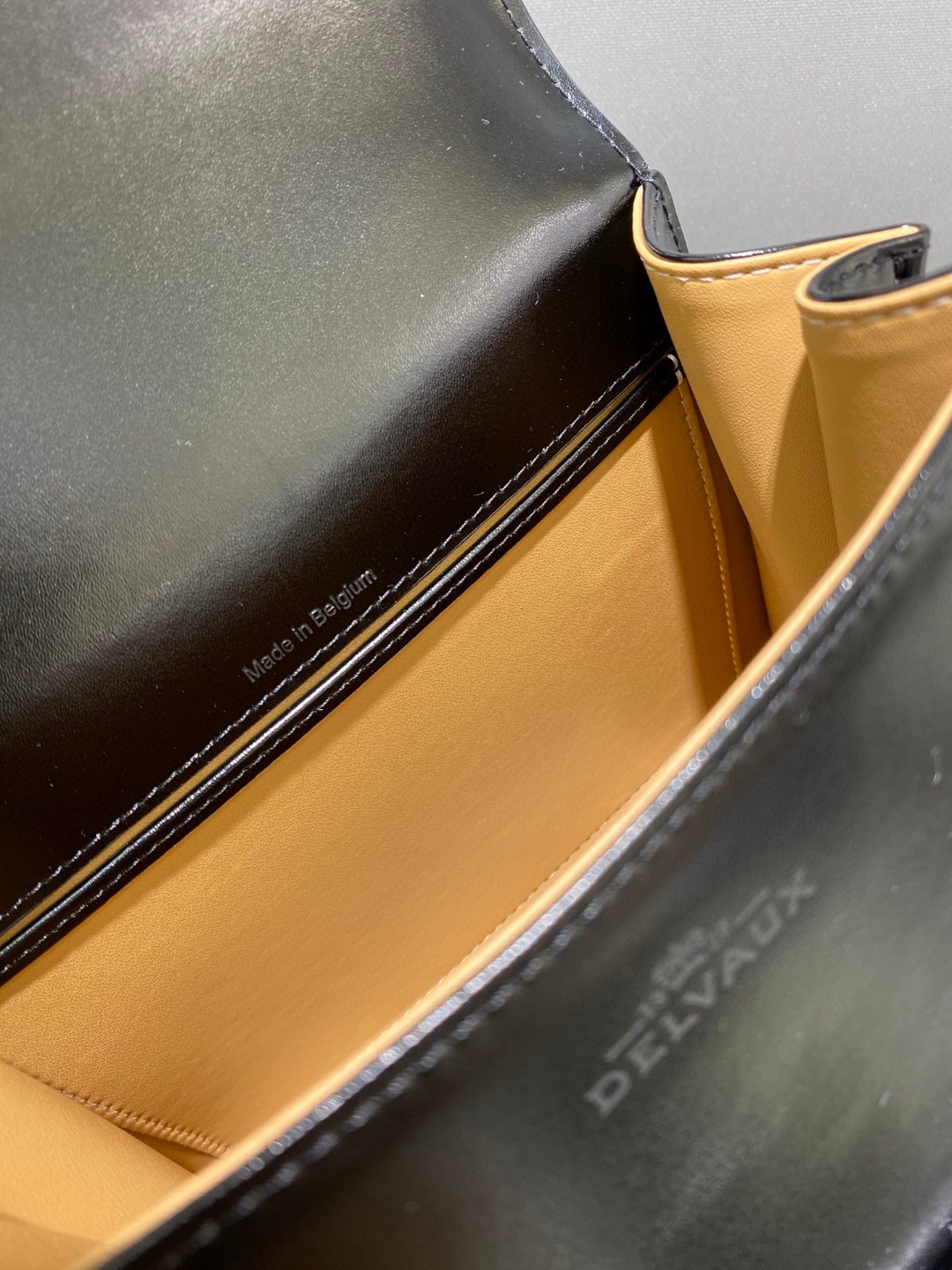 Delvaux L'Humour mini in Box Calf black