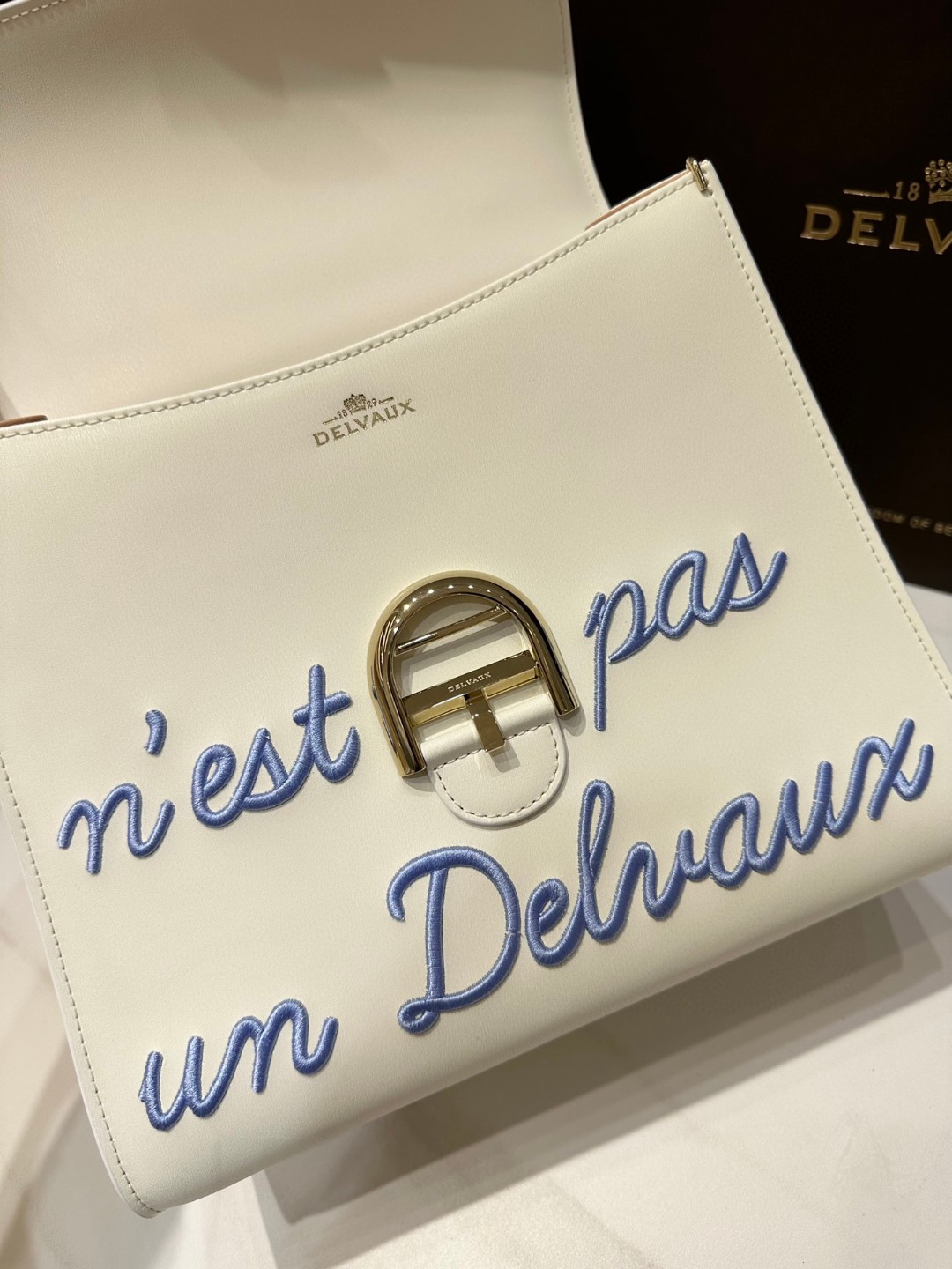 Delvaux L'Humour MM in Box Calf AA0661AAM