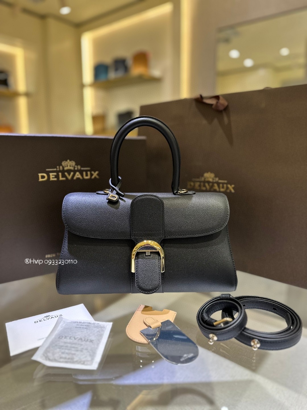 Delvaux Brillant MM Rodeo Calfskin black GHW