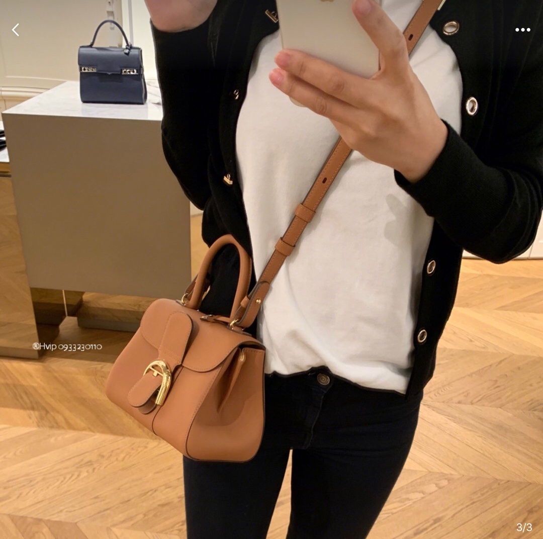 Delvaux Brillant PM Rodeo Calfskin Vegetal