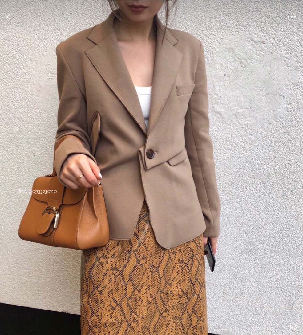 Delvaux Brillant PM Rodeo Calfskin Vegetal