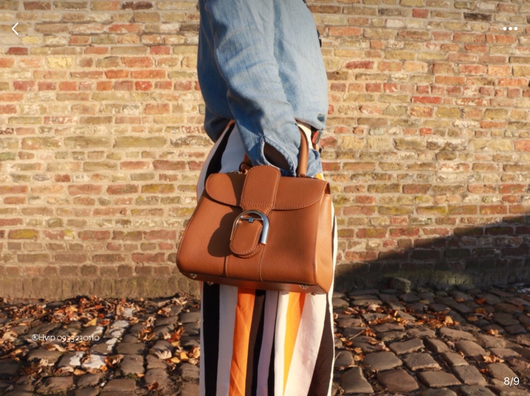 Delvaux Brillant PM Rodeo Calfskin Vegetal