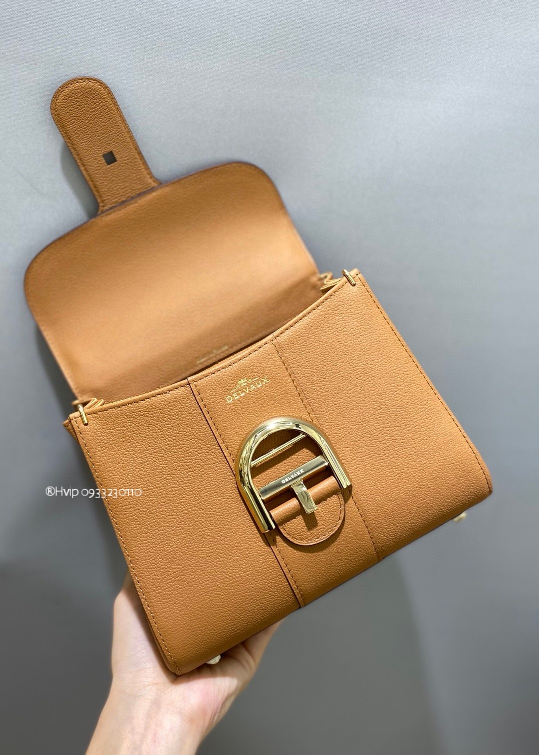 Delvaux Brillant Mini Rodeo Calfskin Vegetal