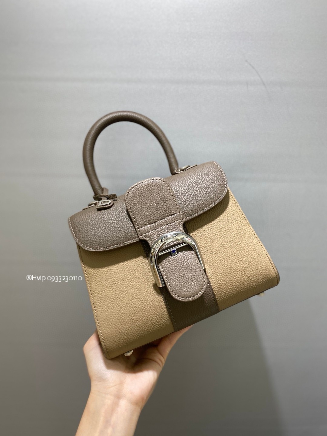 Delvaux Brillant Mini Rodeo Calfskin bi-color