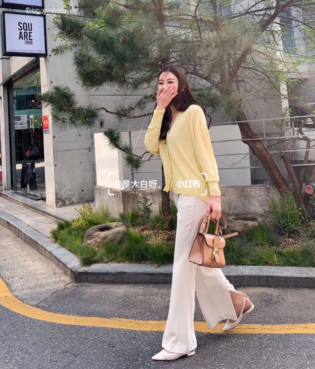 Delvaux Brillan mini in Box Calf Tender Beige