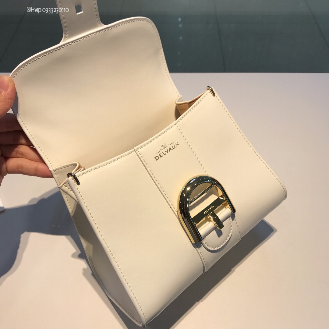 Delvaux Brillan mini in Box Calf white
